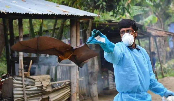 നിപ: ജില്ലയിൽ പൊതു പരിപാടികൾക്ക് നിയന്ത്രണം Nipa