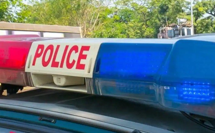 ദില്ലിയിലെ സ്കൂളിൽ സ്ഫോടനമുണ്ടായതിന് പിന്നാലെ രാജ്യത്തെ സിആർപിഎഫ് സ്കൂളുകൾക്ക് വ്യാജ ബോംബ് ഭീഷണി